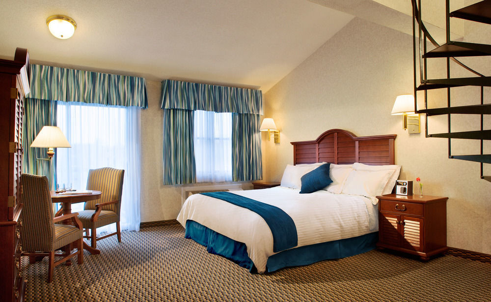 Harbor (adults Only) 3*
